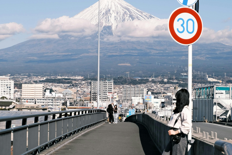 From Tokyo: Mount Fuji Full Day Customizable Private Tour