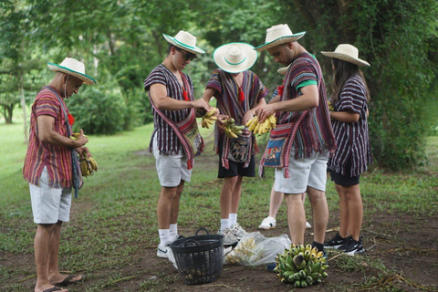 Chiang Mai: Ethical Elephant Experience - Transfer Options A : Meeting Point Feeding, Walk with Elephants (No Transfer)