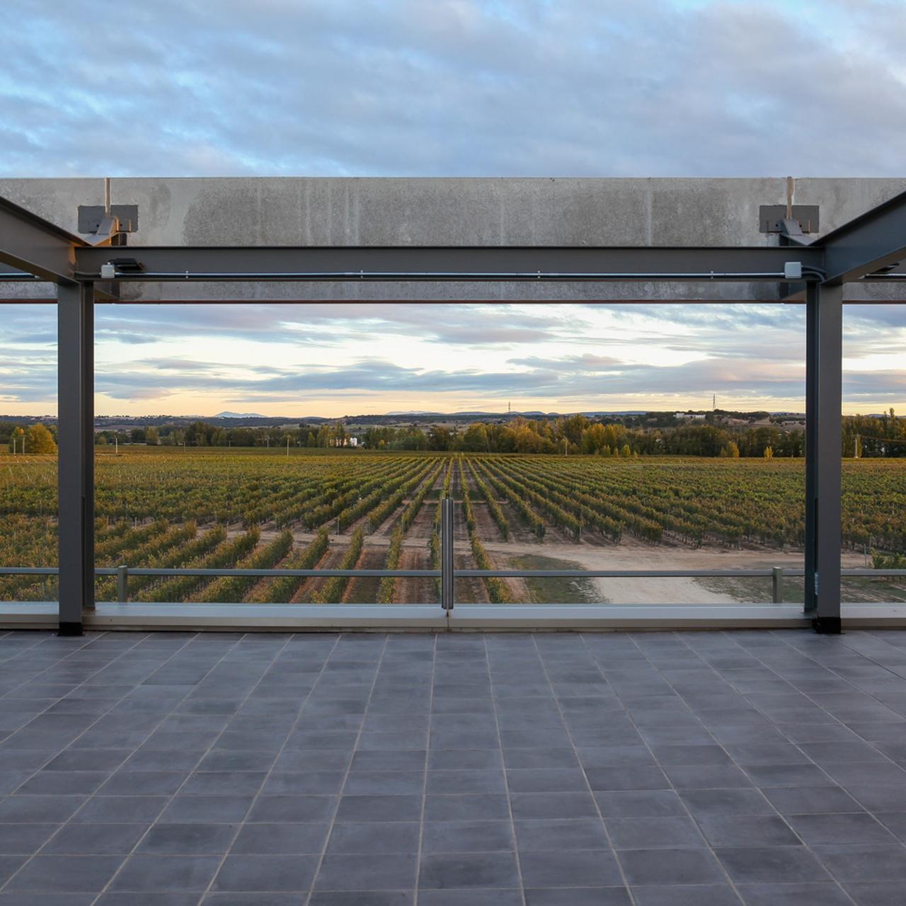 Aranda de Duero: Weingut Martín Berdugo - Besuch und Verkostung