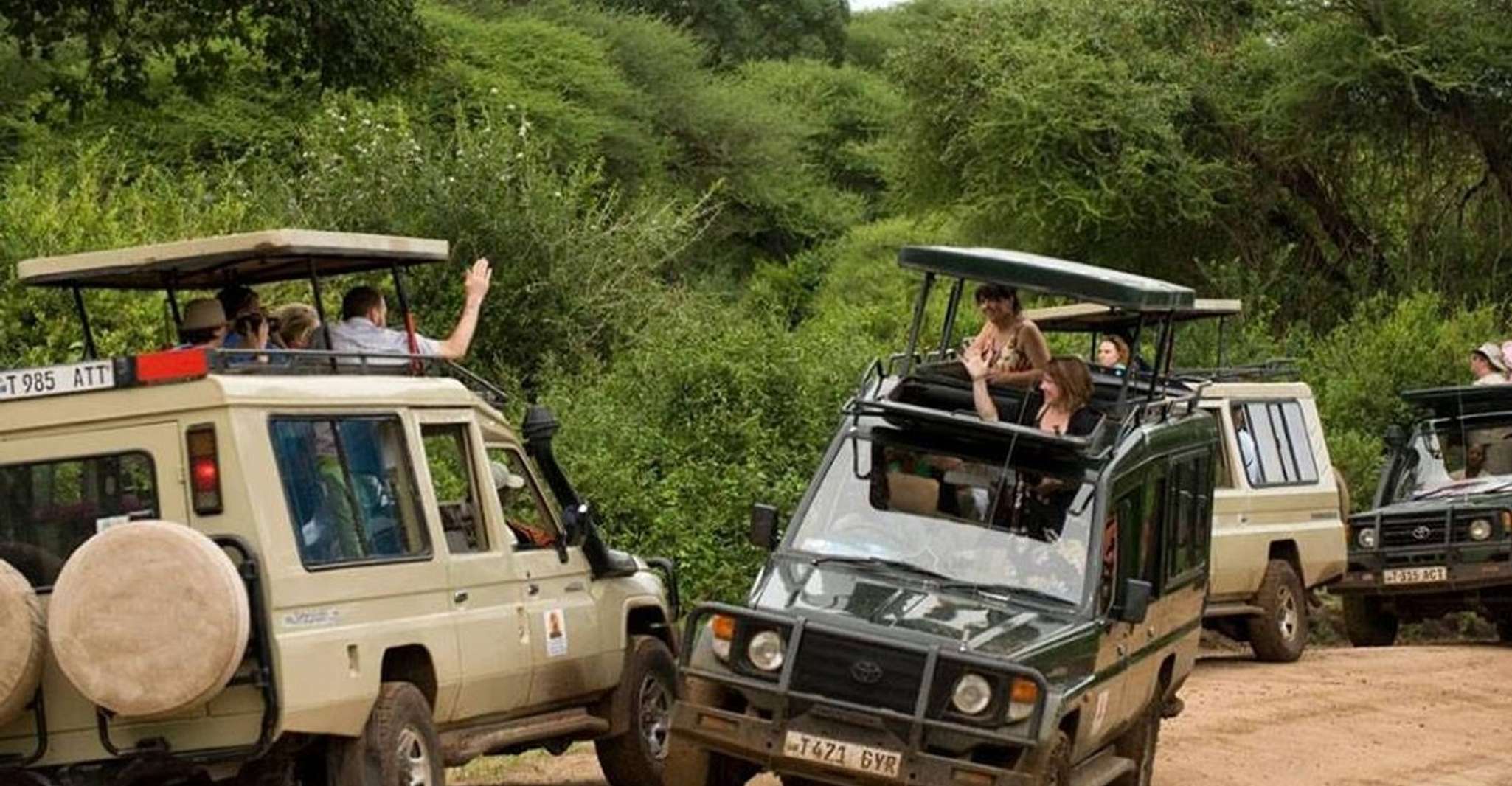 Lake Manyara National Park Day Tour - Hizvo