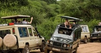 Lake Manyara National Park Tagestour - Hizvo
