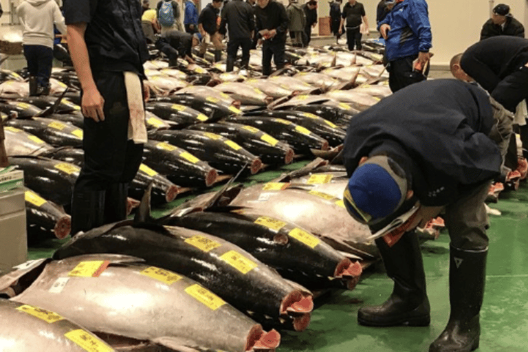 Toyosu Fish Auction and Tsukiji Market with Sushi Tasting