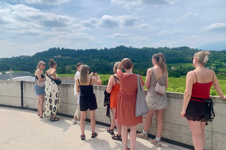 Prosecco Hills Private Tour All inclusive. 2 wineries+lunch