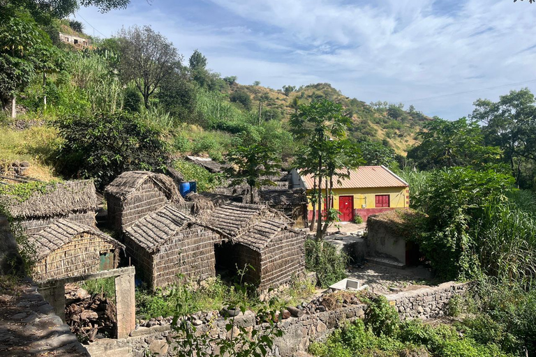 Rui Vaz Scenic Hike and Botanical Garden Stop