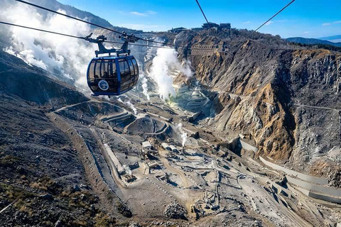 Tokyo: Hakone Private Luxury Day Tour with English Driver