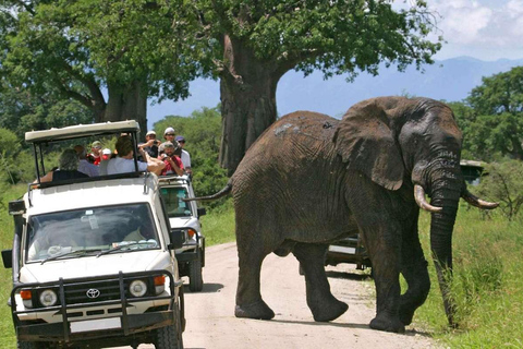 7-dniowe safari w Kenii z dziką przyrodą i plażą Diani