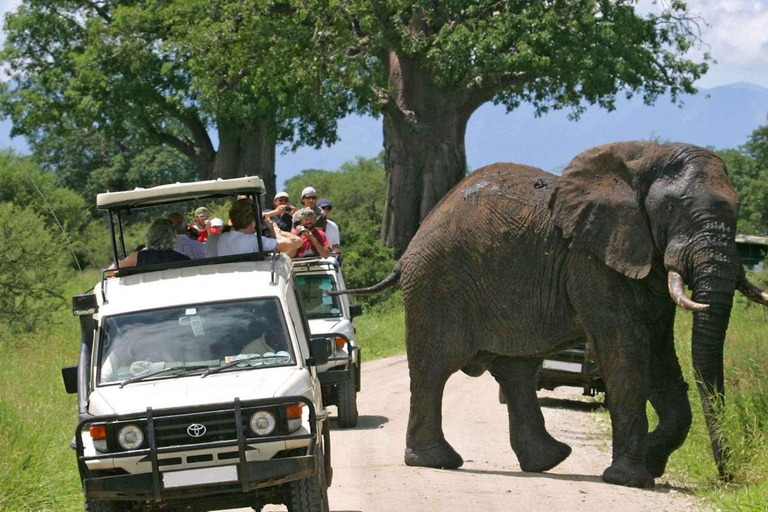 7-dniowe safari w Kenii z dziką przyrodą i plażą Diani