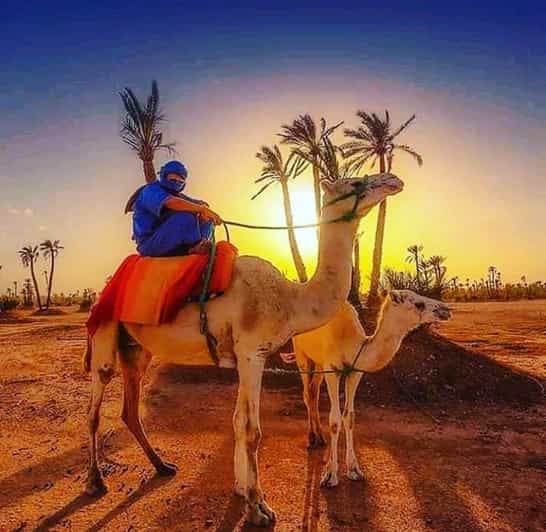Marrakech : excursion en buggy dans la palmeraie, balade à dos de chameau et pause thé - quad