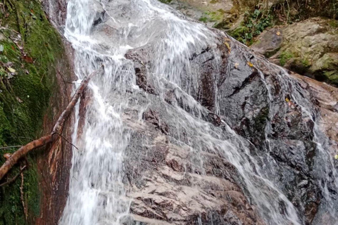 Mae Kampong dorp, warmwaterbronnen, Bo Sang paraplu's makenMae Kampong Village, warmwaterbronnen, Bo Sang-paraplu's maken