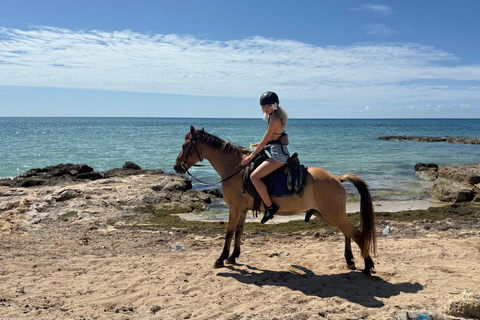 牙买加：骑马探秘与日落双体船巡游牙买加：骑马体验与日落双体船巡游