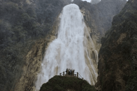 San Cristobal: Excursão de 4 dias pela natureza na selva LacandonEm uma cabana na selva com banheiro compartilhado