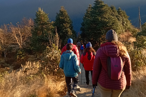 Ghorepani: Wanderung auf dem Poon HillStandard-Option