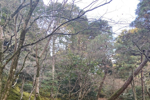 E-Bike Tour in Kyoto with Asuka, Japanese graduate student