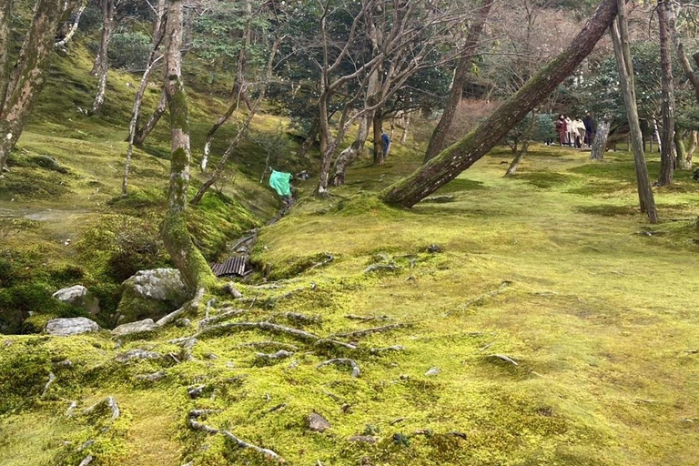 E-Bike Tour in Kyoto with Asuka, Japanese graduate student