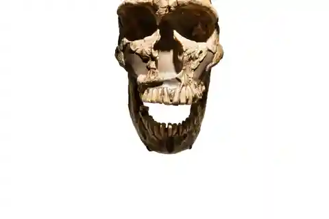 人類発祥の地への旅