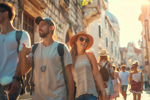 Annecy: Passeio expresso com um morador local em 60 minutosAnnecy: 60 minutos de caminhada com um morador local