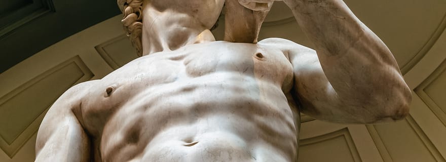 Firenze: biglietto d'ingresso ufficiale con orario riservato per il David di Michelangelo