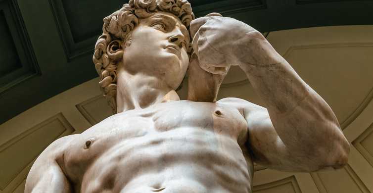 Firenca: Michelangelov David ulaznica bez reda