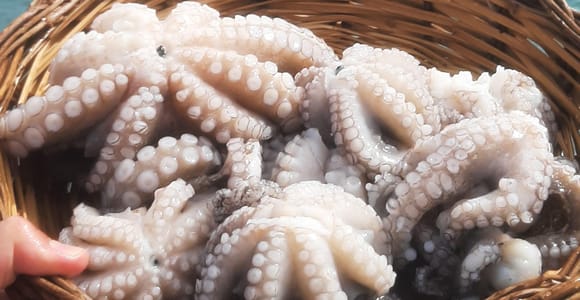 Bari: Angelerlebnis an Bord eines authentischen Fischerbootes