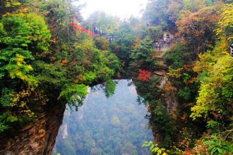 One-day Tour :Night View of Tianmen+ Avatar-like Peak Forest
