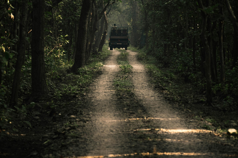 7-Day Royal Bengal Tiger & One-horned Rhino in Bardiya
