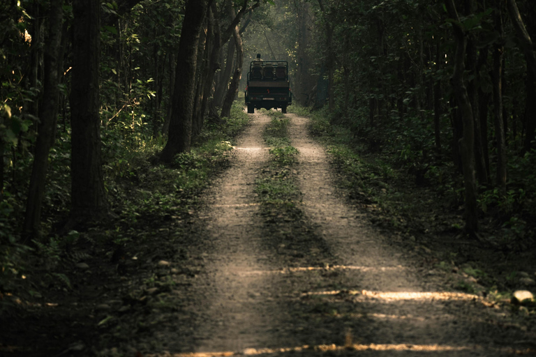 7-Day Royal Bengal Tiger & One-horned Rhino in Bardiya