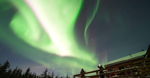 Fairbanks: Aurora Husky Lodge Aurora Viewing Tour