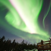 Fairbanks: Aurora Husky Lodge Aurora-Beobachtungstour