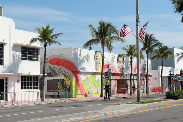 Miami: Guided Walking Tour with Public Transportation
