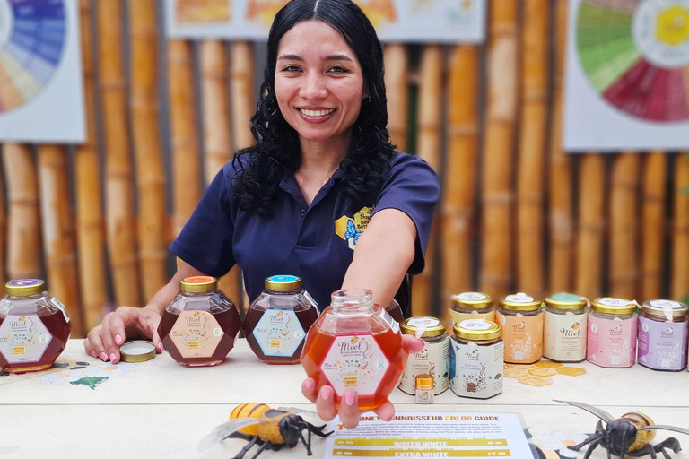 Boquete's Original Honey Tasting: 20+ Wild & Native Honeys