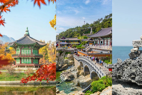 South Korea Highlights Tour: Seoul + Busan 2 Days Tour Plan South Korea Busan highlights Tour