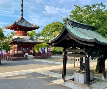 歴史ある川越の町 – 江戸の小さな町を巡る3時間ウォーキングツアー