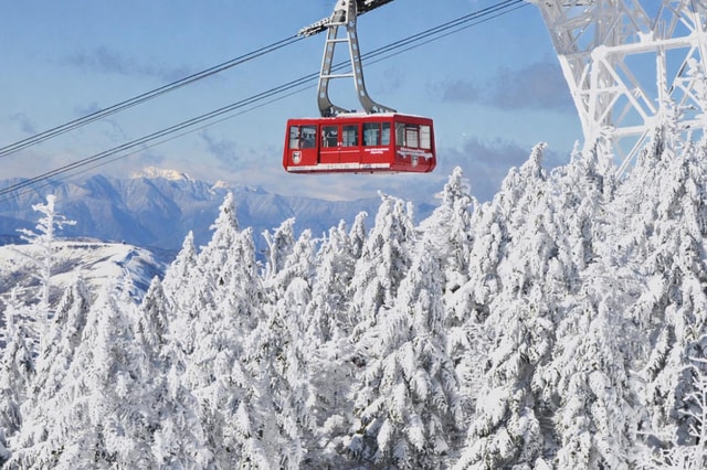 Nagano: 4-Hour Silent Snowshoe Tour + Onsen & Izakaya