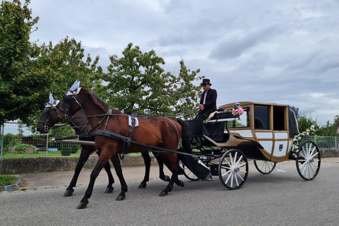 Wachau porcelain carriage A sparkling carriage ride through the vineyards Wachau Porcelain Tour A sparkling carriage ride through the vineyards