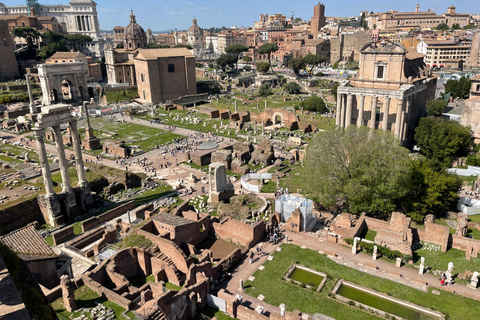 Colosseum: Audio Guide or Private Guided Tour Option 2: Colosseum Full Experience Private Guided Tour