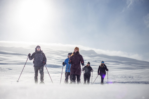 Explora Jotunheimen con Snowcoach y raquetas de nieve