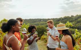 Maryland: Chesapeake Region Wine Tour with Lunch & Tastings