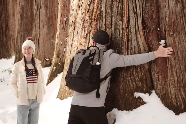 ناغانو: جولة خاصة في ضريح توجاكوشي، ساكي وزينكوجيالاستلام من مدينة ناغانو والمناطق المجاورة
