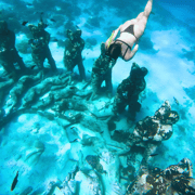 From Gili Trawangan or Gili Air: Shared / Private Snorkeling