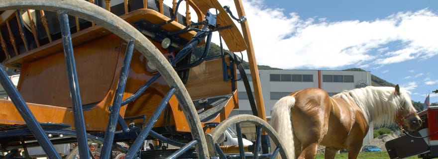 Promenade en calèche dans la nature à Cannara avec dégustation