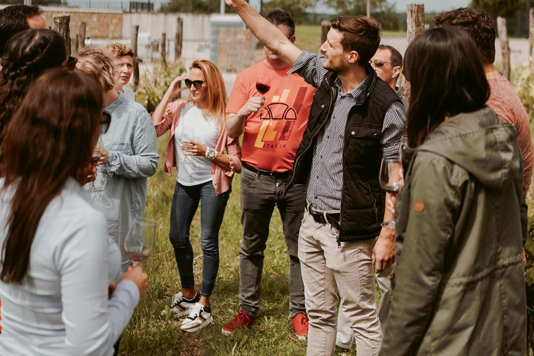 PIĘKNA TOSKANIA: Siena, San Gimignano i wycieczka winiarska do Chianti