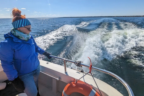 Estonia: Malusi Islands Seal-Watching Boat Trip