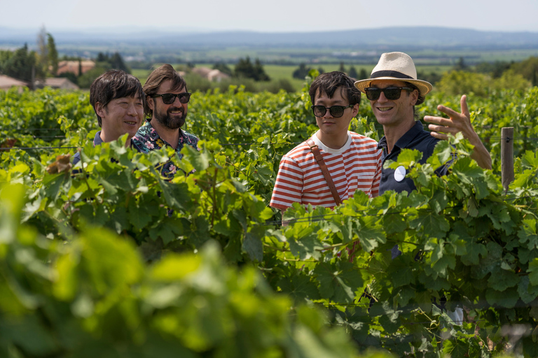 Da Marsiglia: Tour di degustazione di Bandol e CassisBandol e Cassis: tour con degustazione di vino da Marsiglia