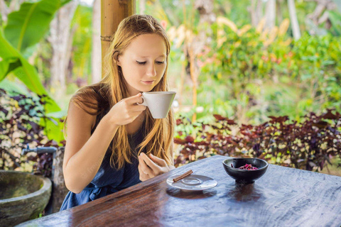 Ubud : Waterfall, Monkey Forest, Rice Terrace and Temple Private Tour With Entry Tickets