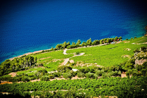 Dubrovnik: Ston and Pelješac Peninsula Wine Tour