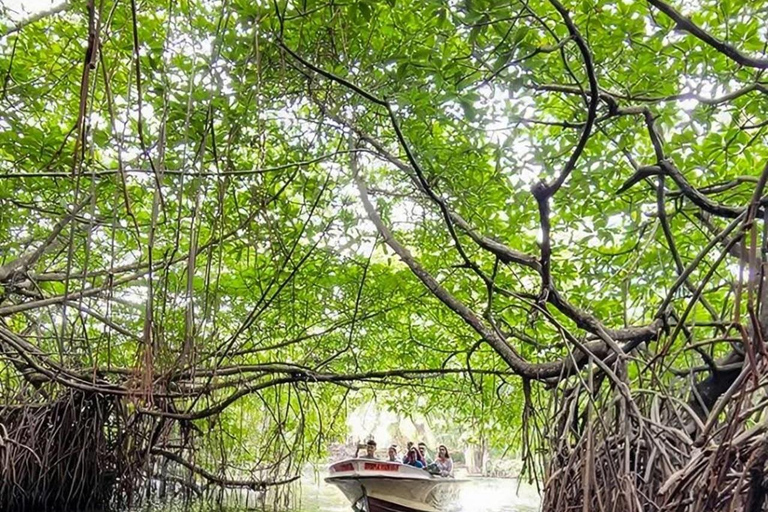 Bentota City Tour with Boat Safari & Kande Viharaya