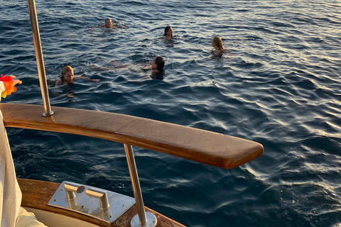 Estepona: Dolphins Searching Sea Cruise with Drink & Snacks Group Cruise