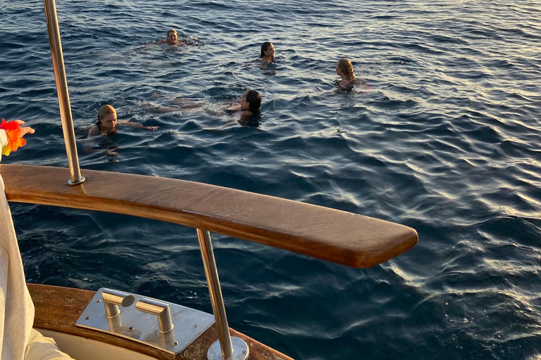 Estepona: Dolphins Searching Sea Cruise with Drink & Snacks Group Cruise