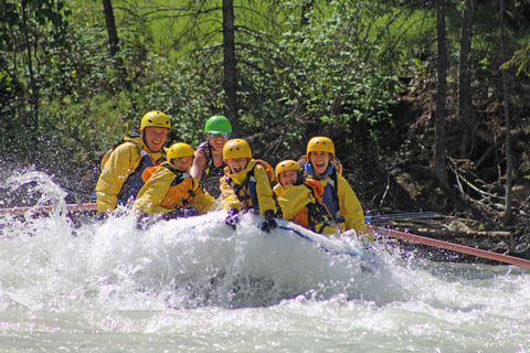 Kicking Horse rivier: Halve dag kennismaking met wildwatervarenKicking Horse River: introductie van een halve dag tot wildwaterraften