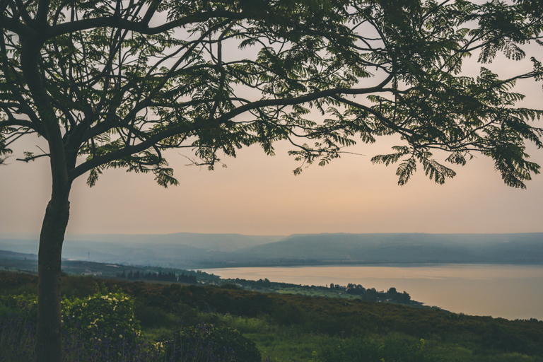 From Jerusalem: Galilee Day Tour